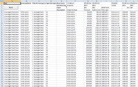 AutoGen Excel template